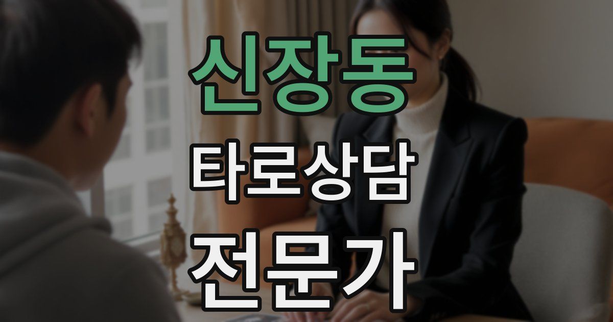 신장동 타로상담전문가 자격증