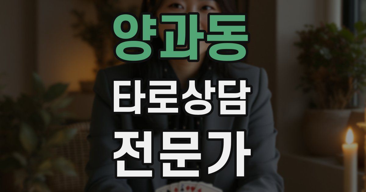 양과동 타로상담전문가 자격증