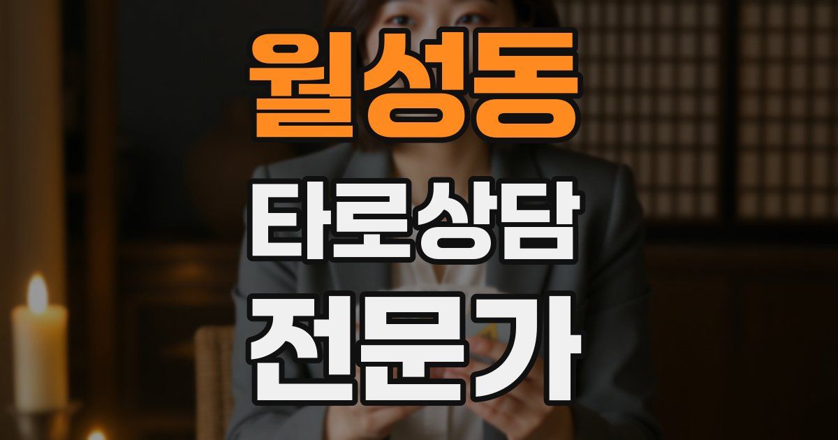 월성동 타로상담전문가 자격증