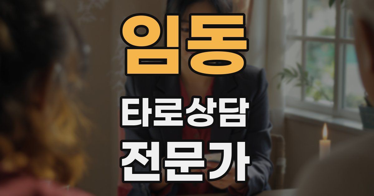 임동 타로상담전문가 자격증