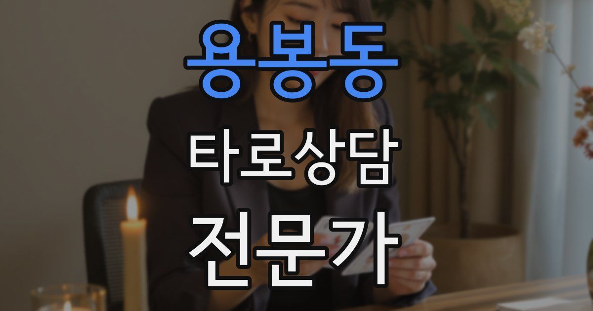 용봉동 타로상담전문가 자격증