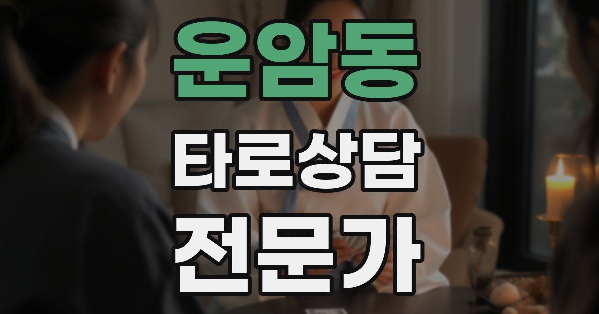 운암동 타로상담전문가 자격증