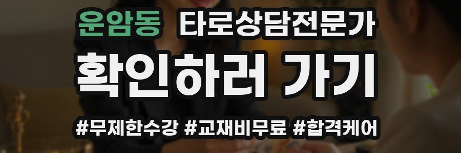 운암동 타로상담전문가 자격증