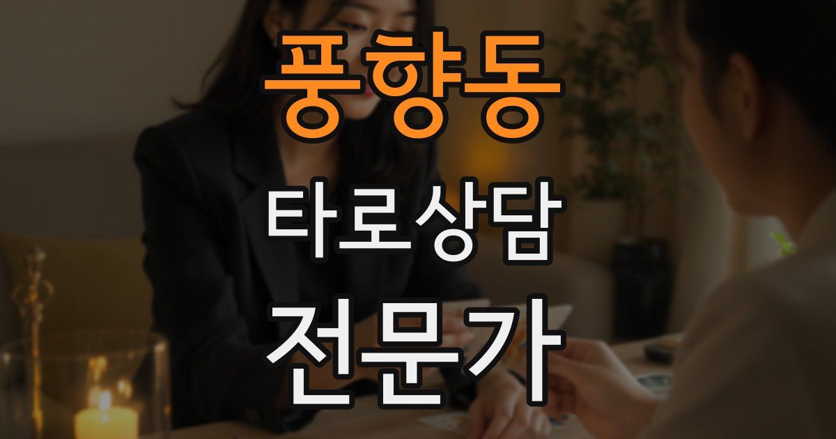 풍향동 타로상담전문가 자격증