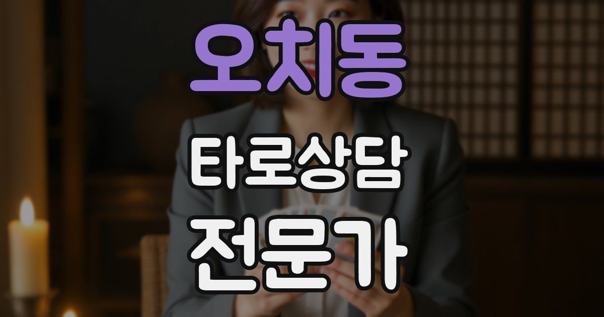 오치동 타로상담전문가 자격증