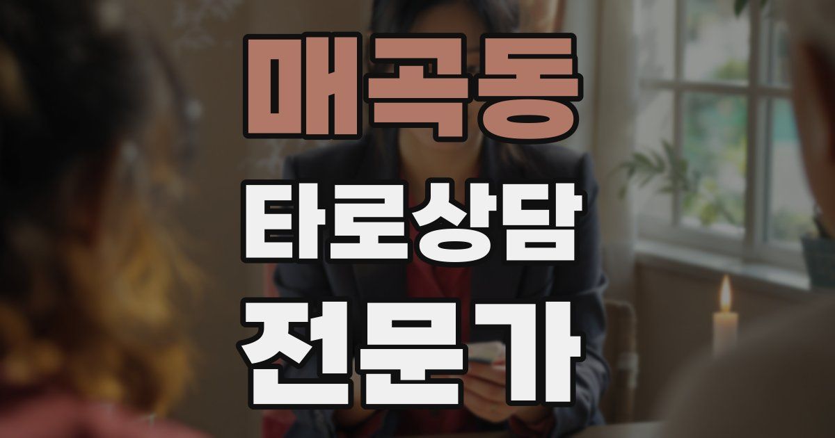 매곡동 타로상담전문가 자격증