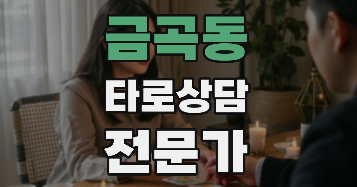 금곡동 타로상담전문가 자격증