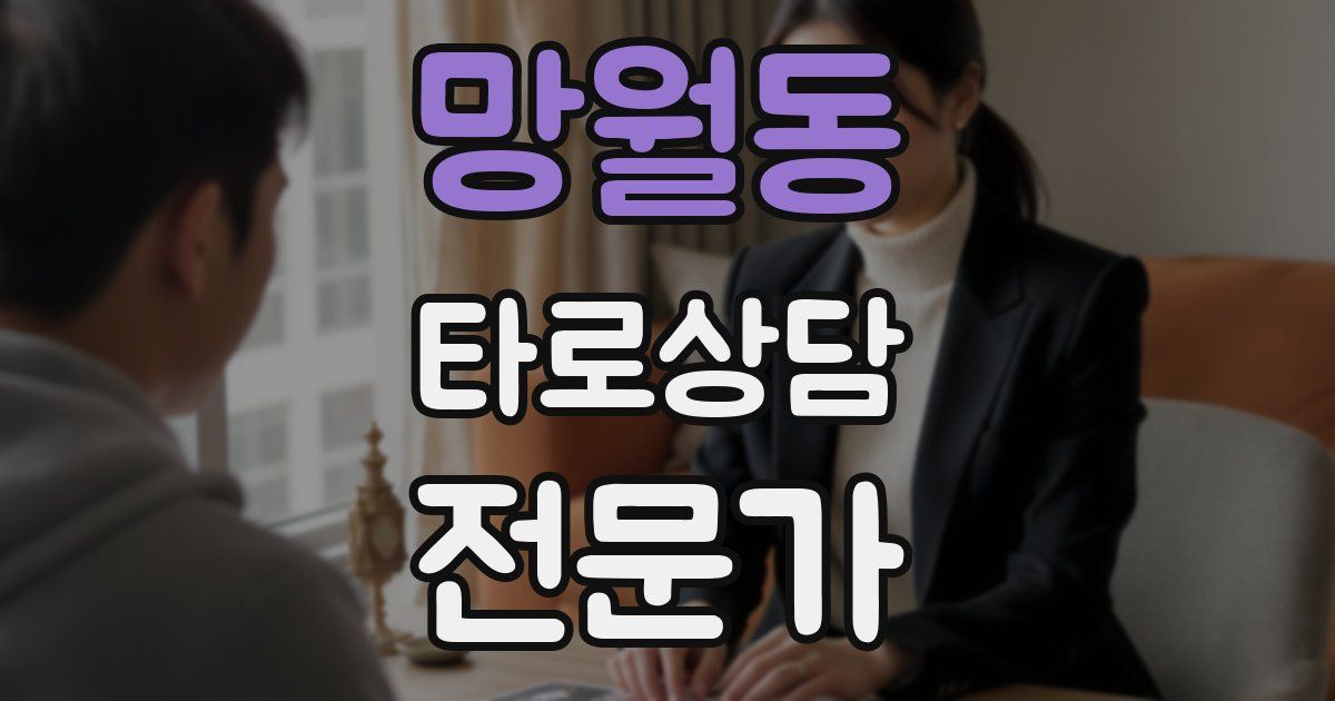 망월동 타로상담전문가 자격증