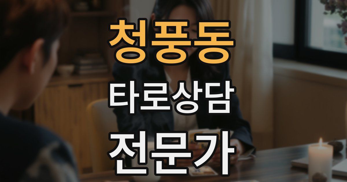 청풍동 타로상담전문가 자격증