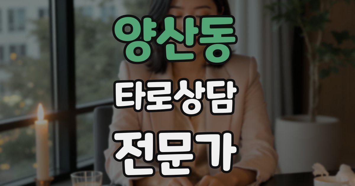 양산동 타로상담전문가 자격증
