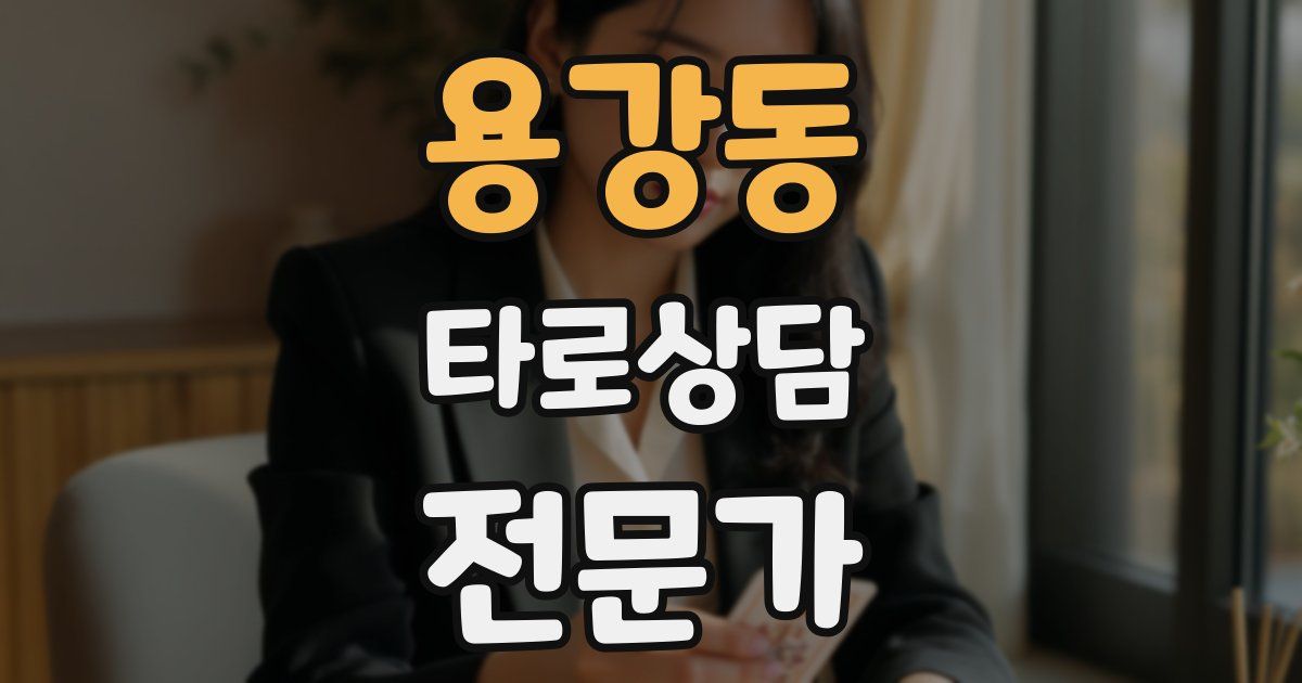 용강동 타로상담전문가 자격증