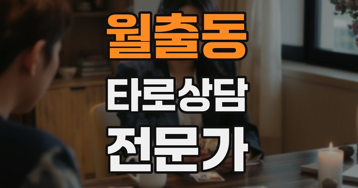 월출동 타로상담전문가 자격증