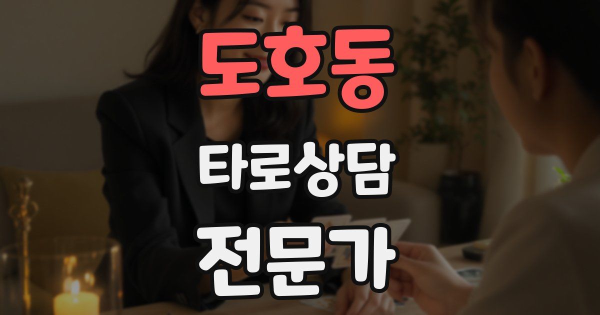 도호동 타로상담전문가 자격증