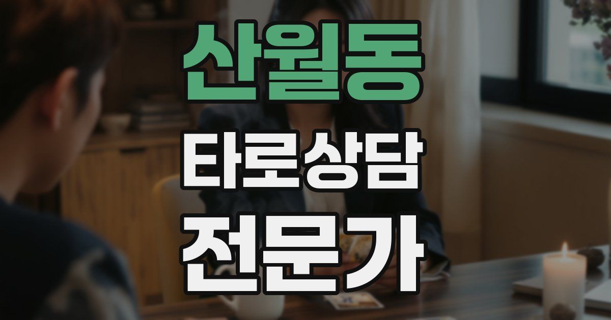 산월동 타로상담전문가 자격증