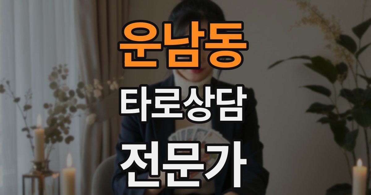 운남동 타로상담전문가 자격증