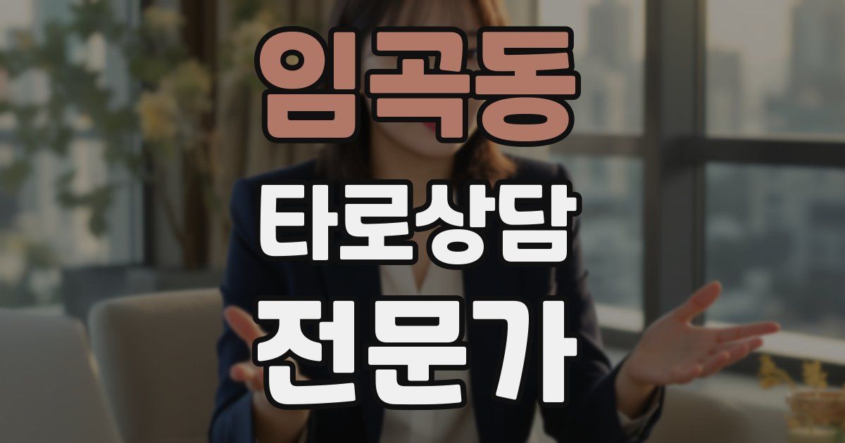 임곡동 타로상담전문가 자격증