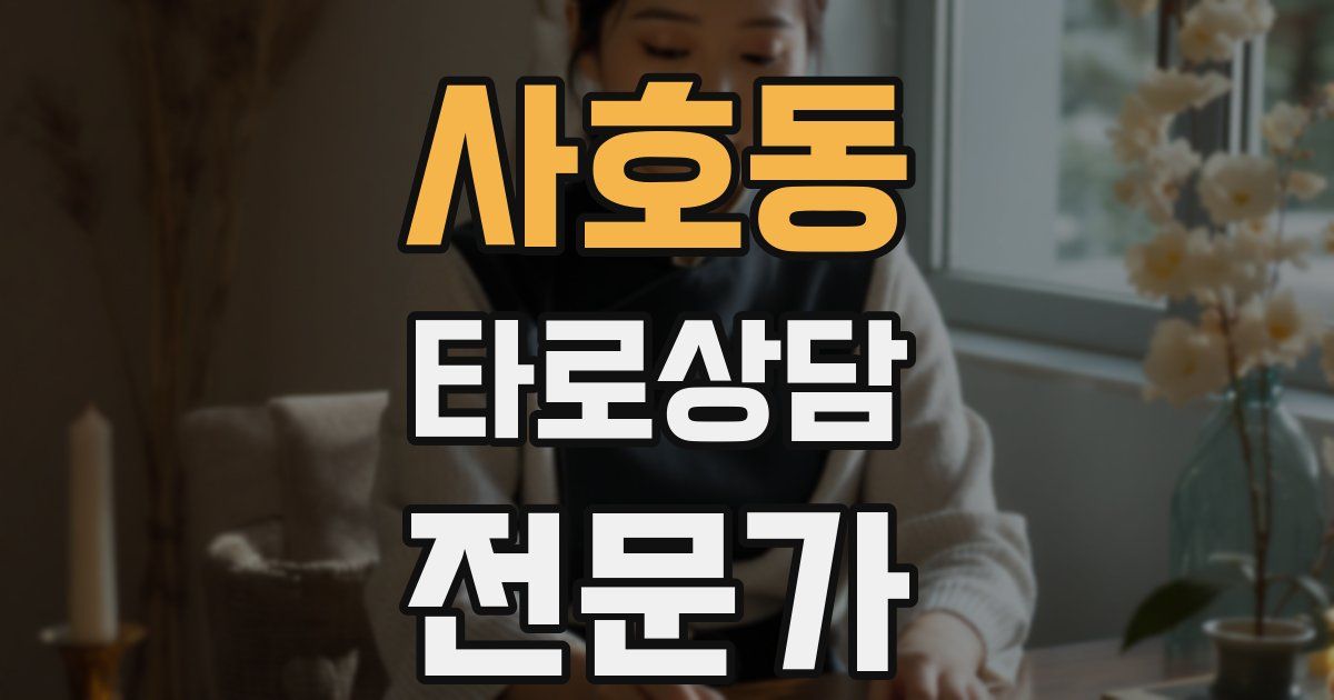 사호동 타로상담전문가 자격증