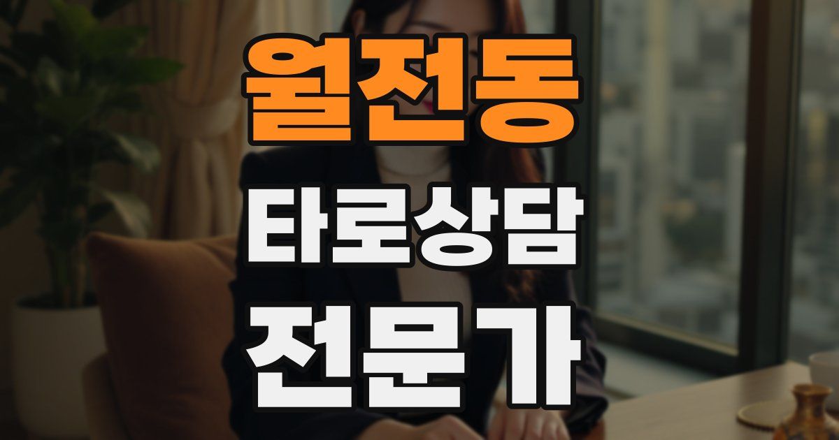 월전동 타로상담전문가 자격증
