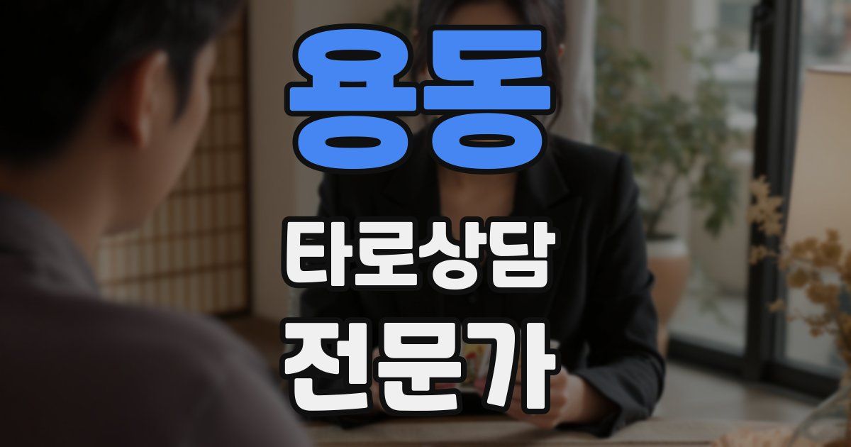 용동 타로상담전문가 자격증