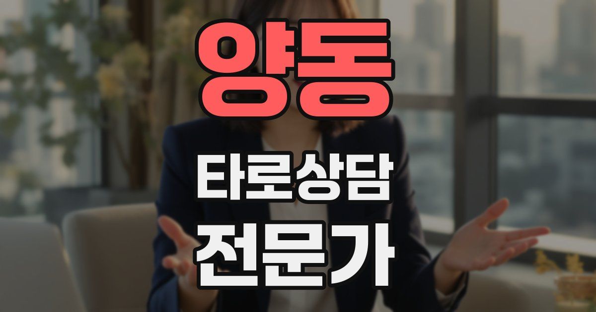 양동 타로상담전문가 자격증