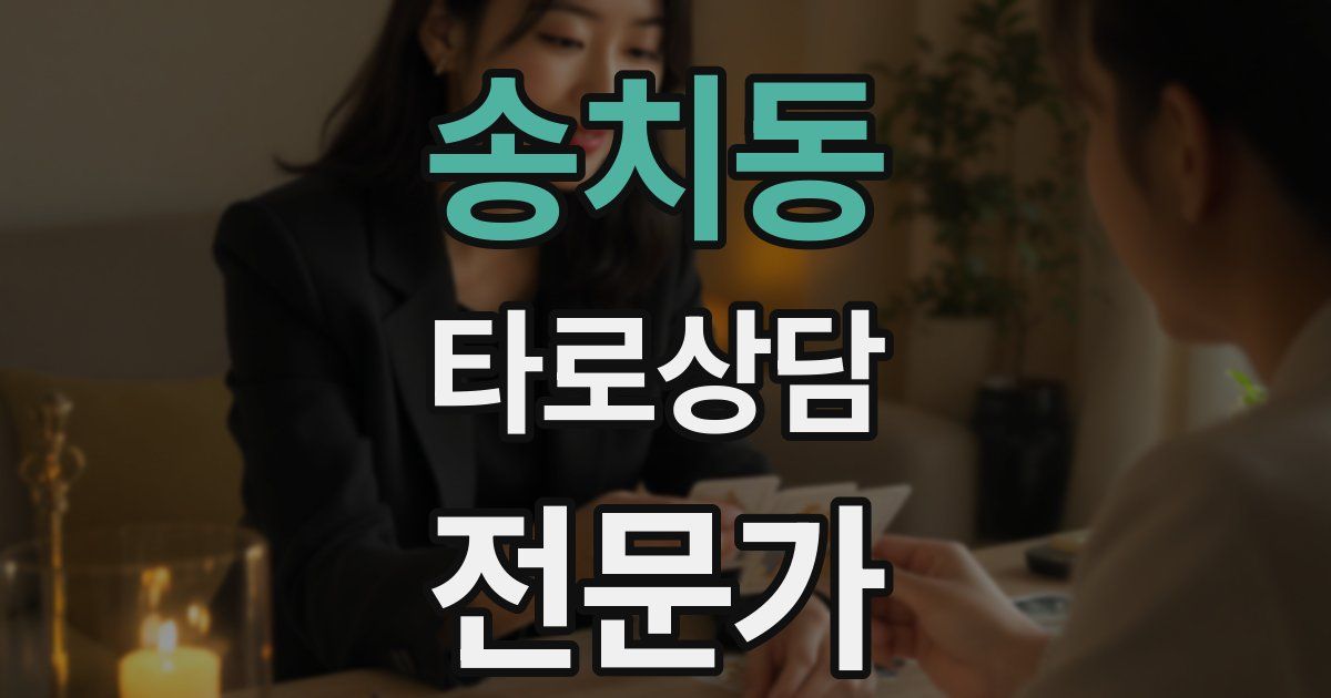 송치동 타로상담전문가 자격증