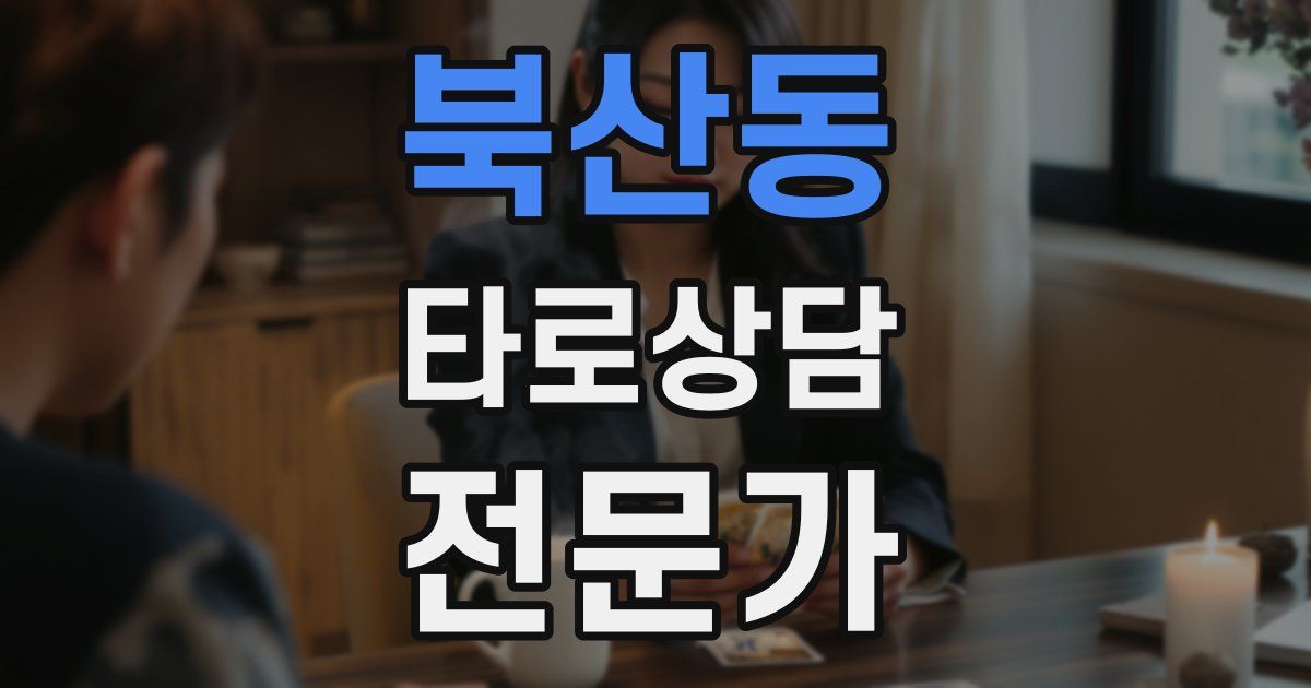 북산동 타로상담전문가 자격증