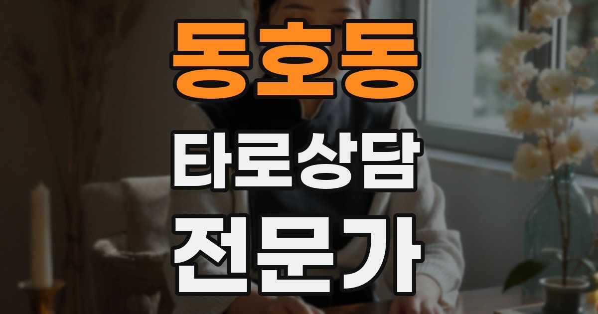 동호동 타로상담전문가 자격증