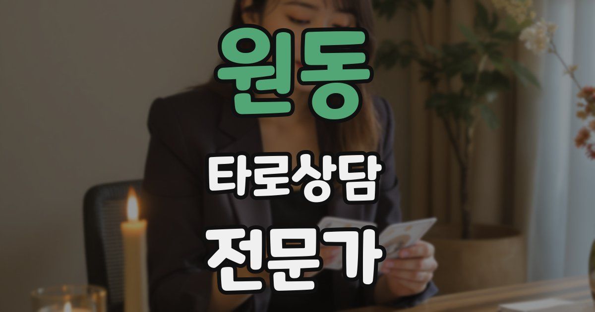 원동 타로상담전문가 자격증
