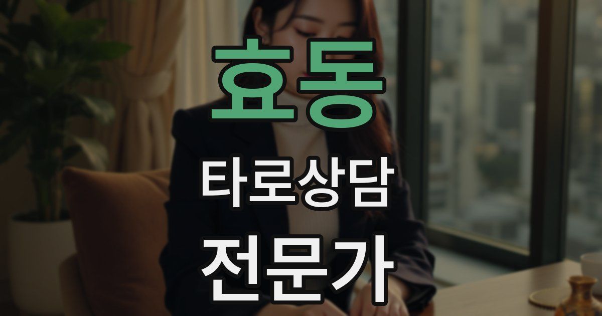효동 타로상담전문가 자격증