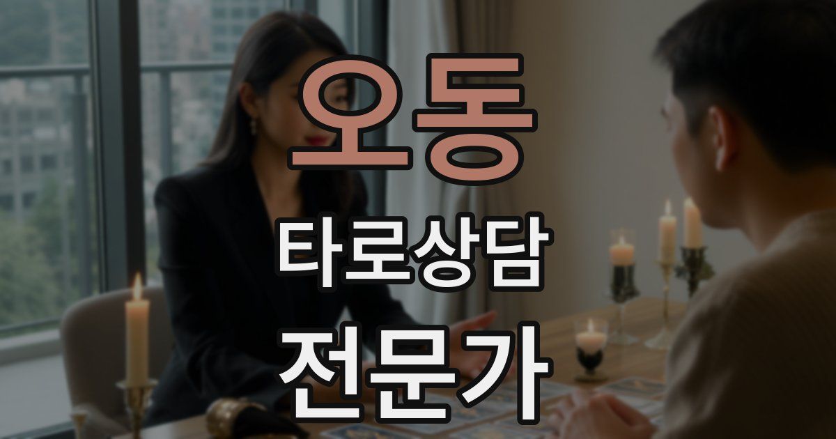 오동 타로상담전문가 자격증