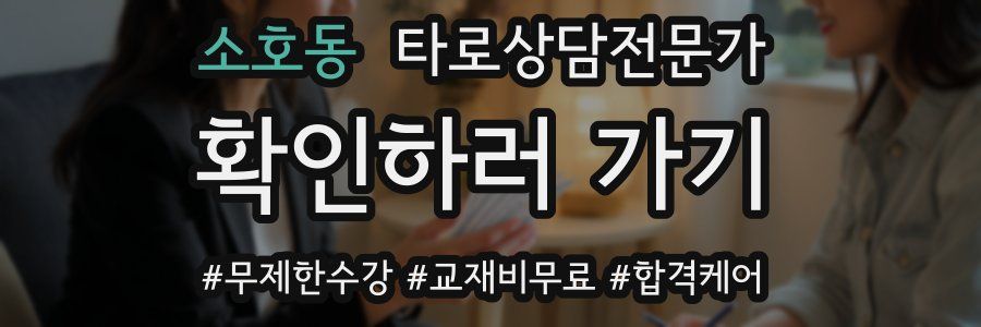 소호동 타로상담전문가 자격증