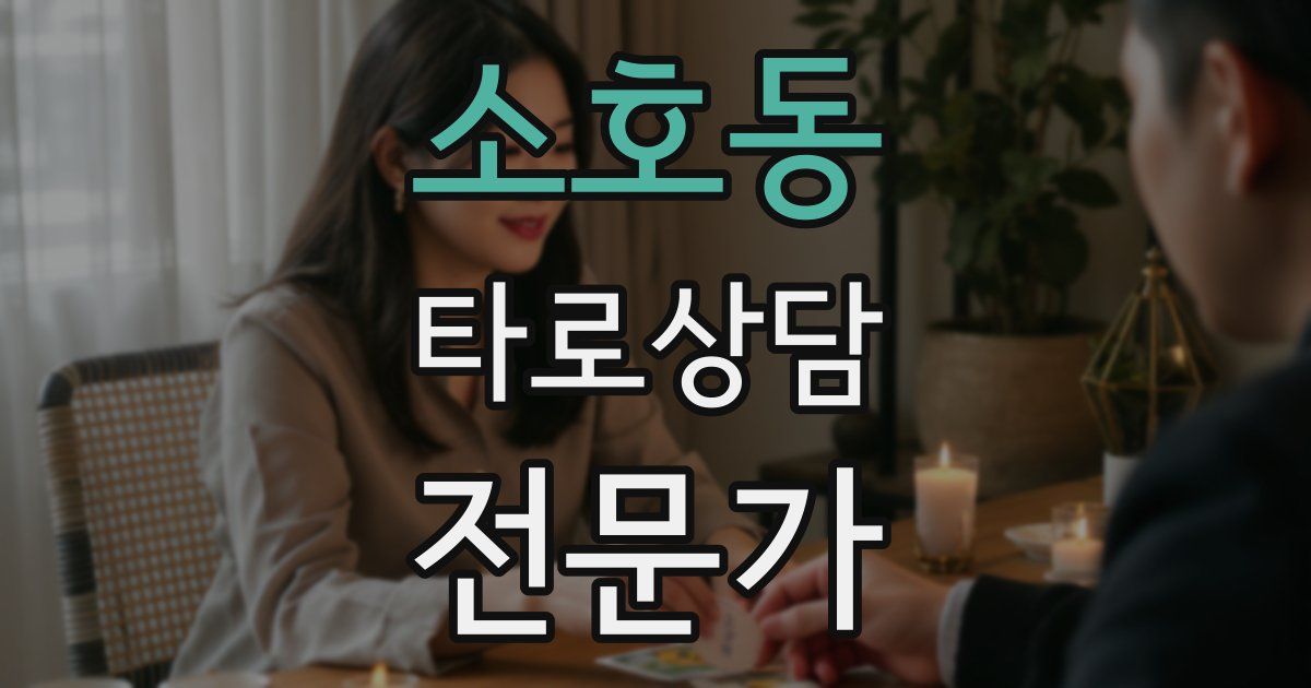 소호동 타로상담전문가 자격증