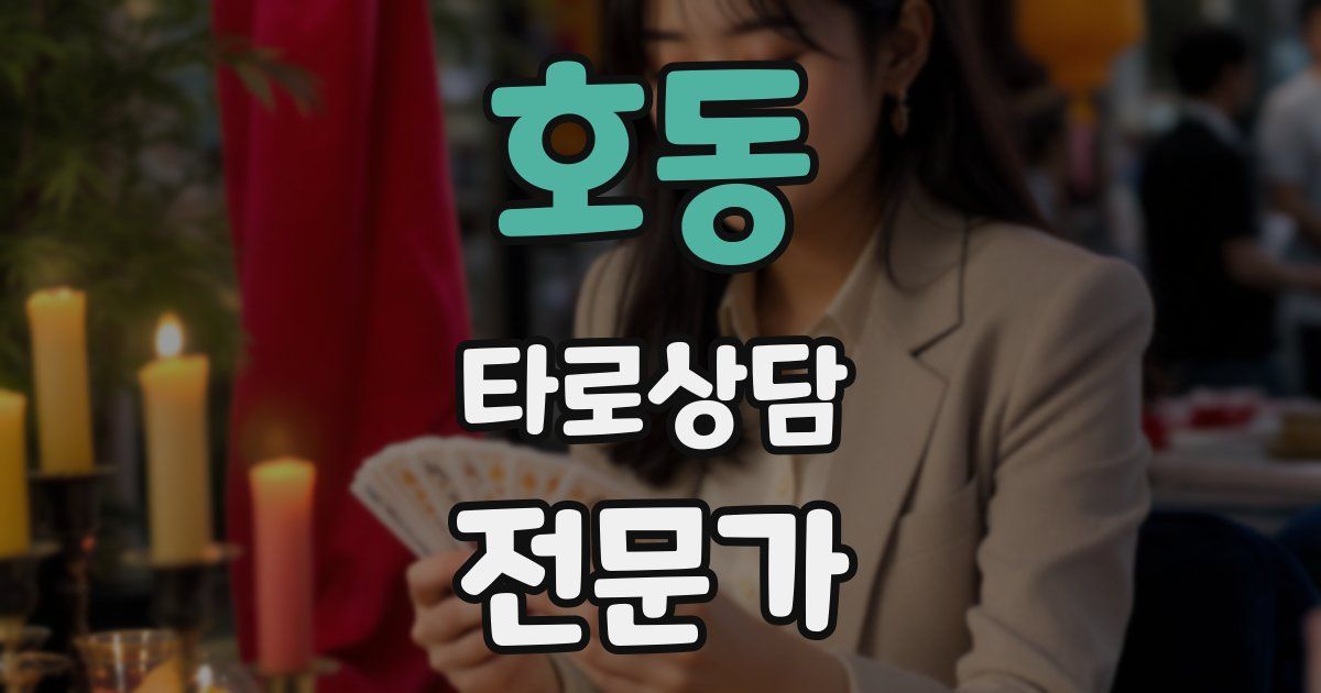 호동 타로상담전문가 자격증