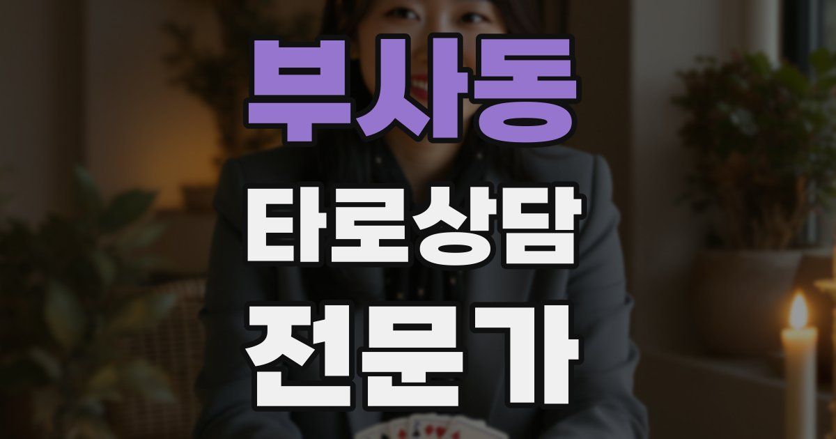 부사동 타로상담전문가 자격증