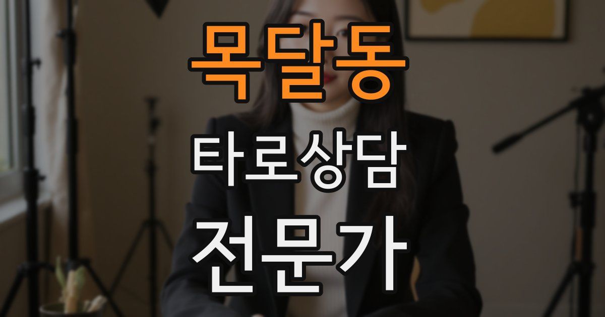 목달동 타로상담전문가 자격증