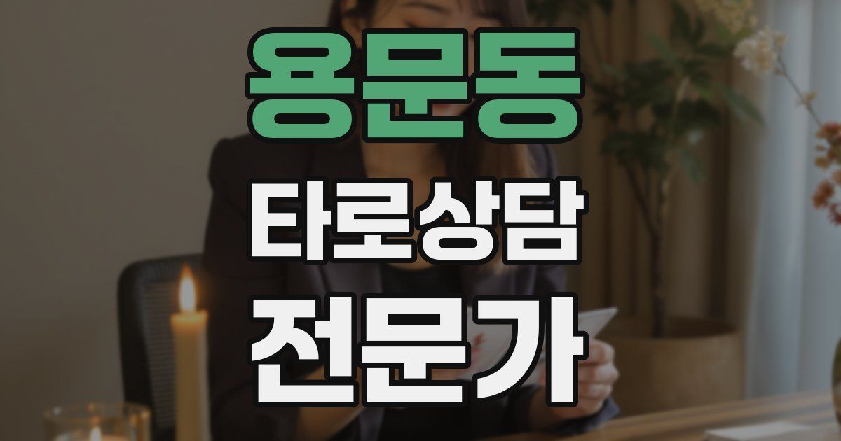 용문동 타로상담전문가 자격증