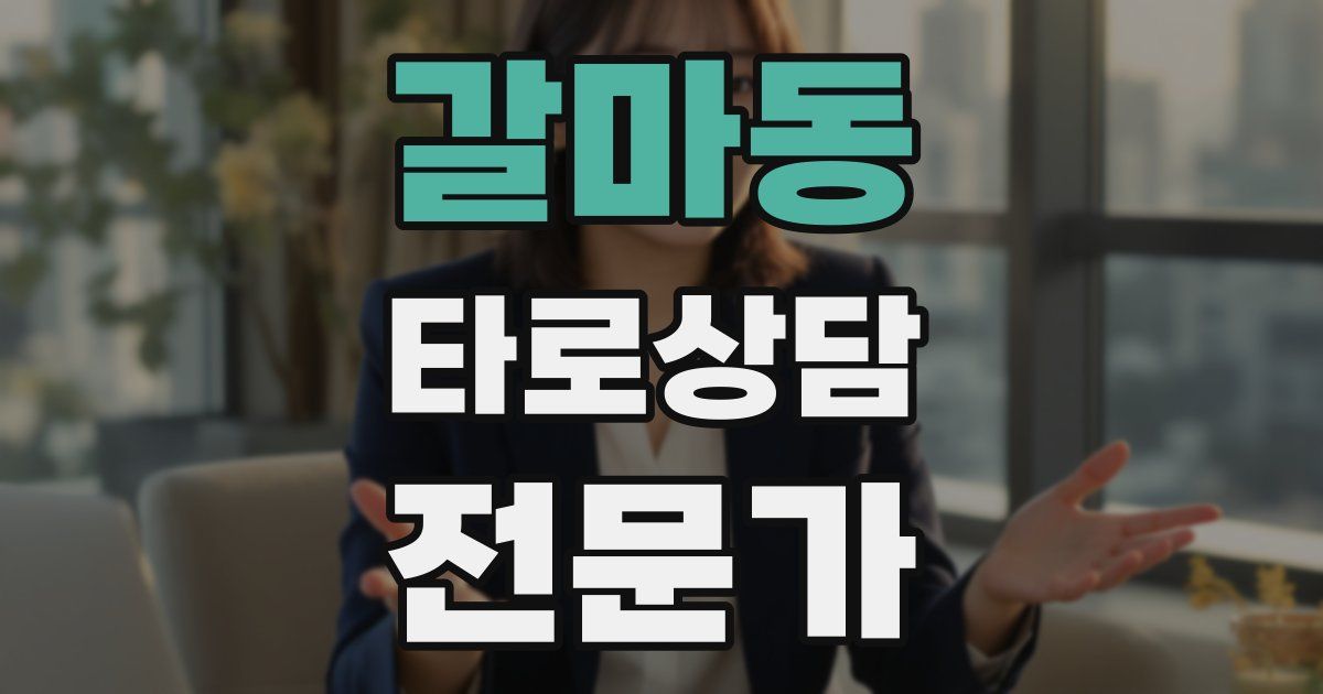 갈마동 타로상담전문가 자격증