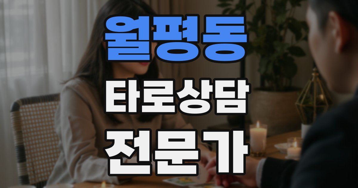 월평동 타로상담전문가 자격증