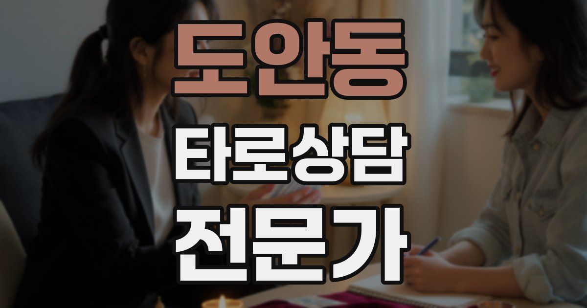 도안동 타로상담전문가 자격증