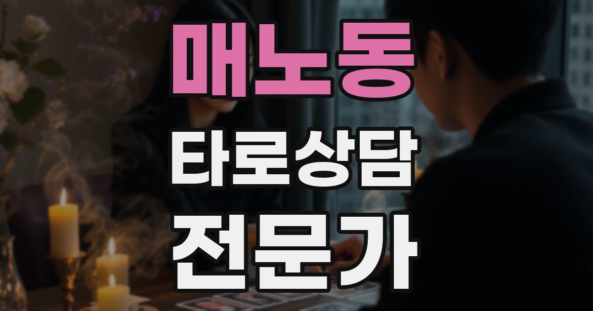 매노동 타로상담전문가 자격증