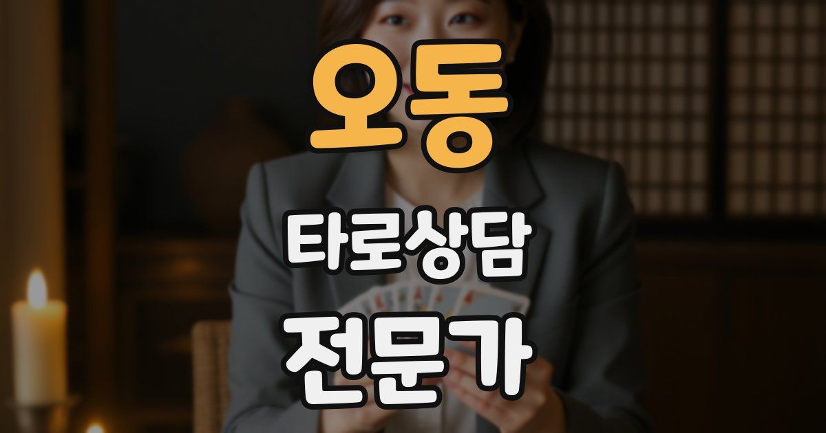 오동 타로상담전문가 자격증