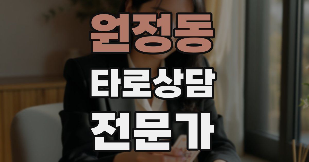 원정동 타로상담전문가 자격증
