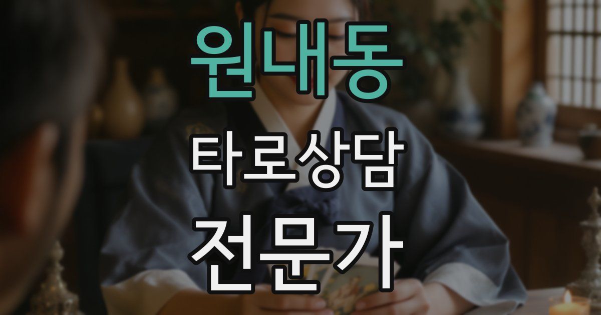 원내동 타로상담전문가 자격증