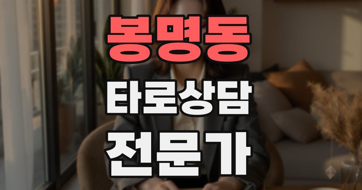 봉명동 타로상담전문가 자격증