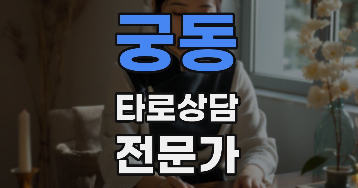 궁동 타로상담전문가 자격증