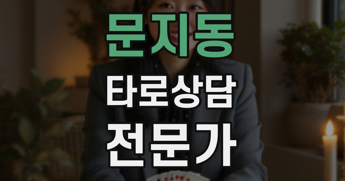 문지동 타로상담전문가 자격증