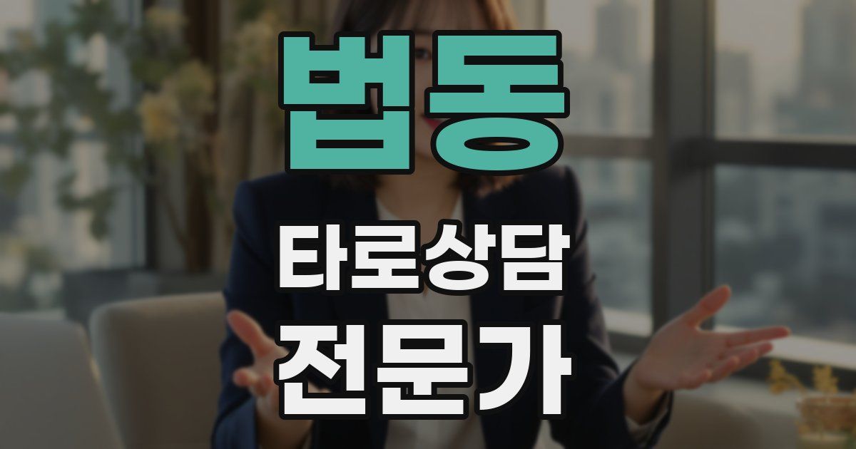 법동 타로상담전문가 자격증