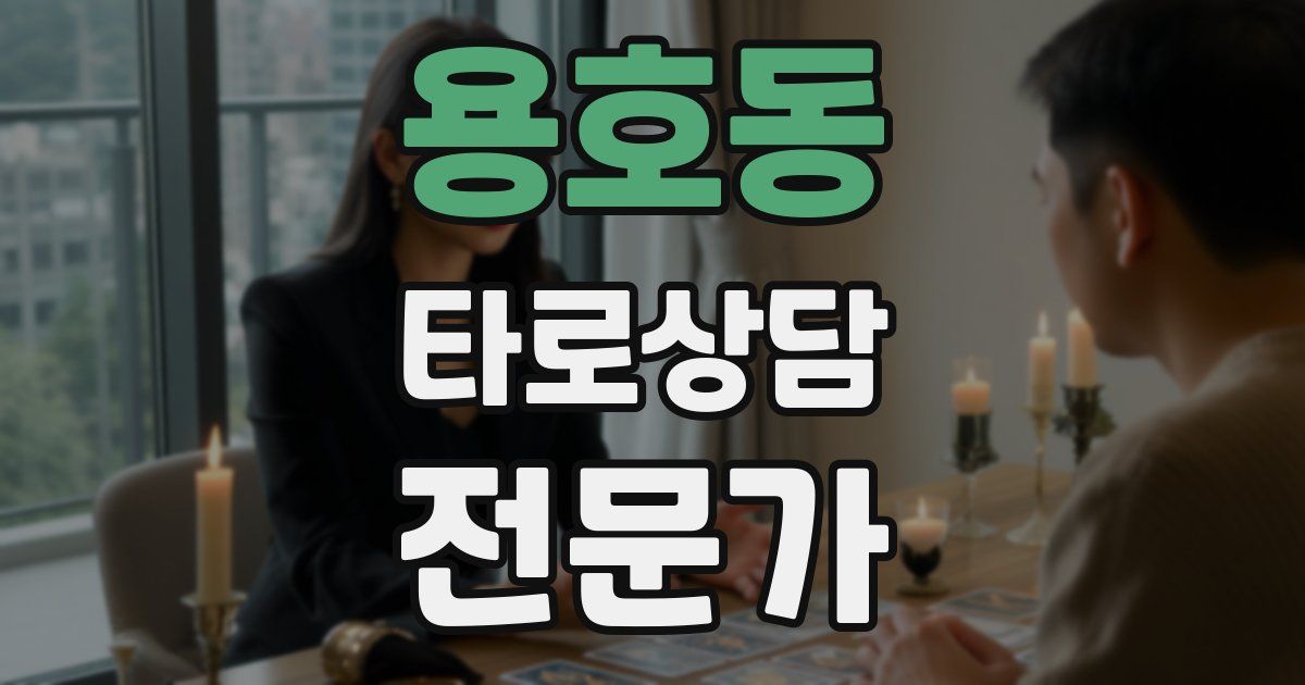 용호동 타로상담전문가 자격증