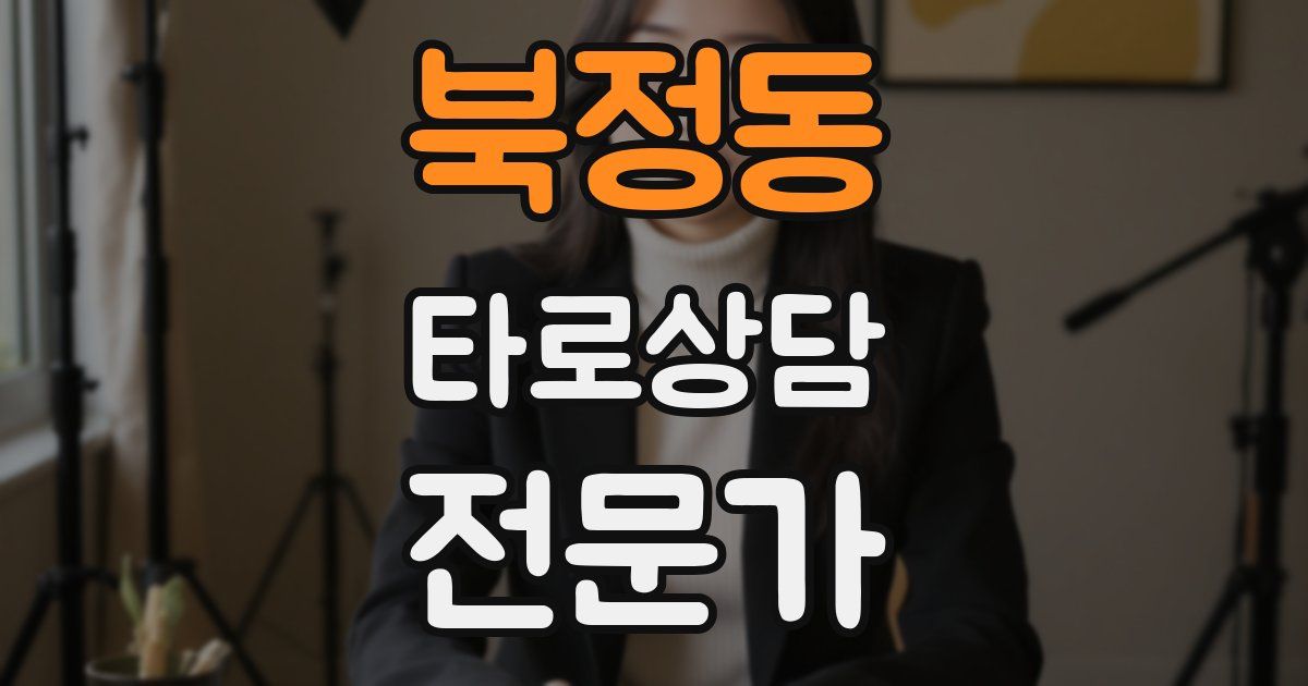 북정동 타로상담전문가 자격증