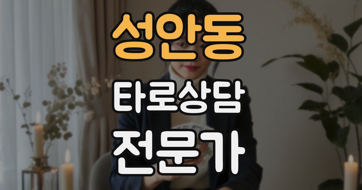 성안동 타로상담전문가 자격증